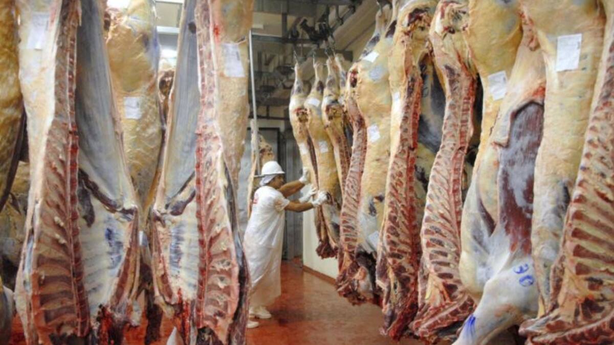 Exportación de carne, economía argentina, NA