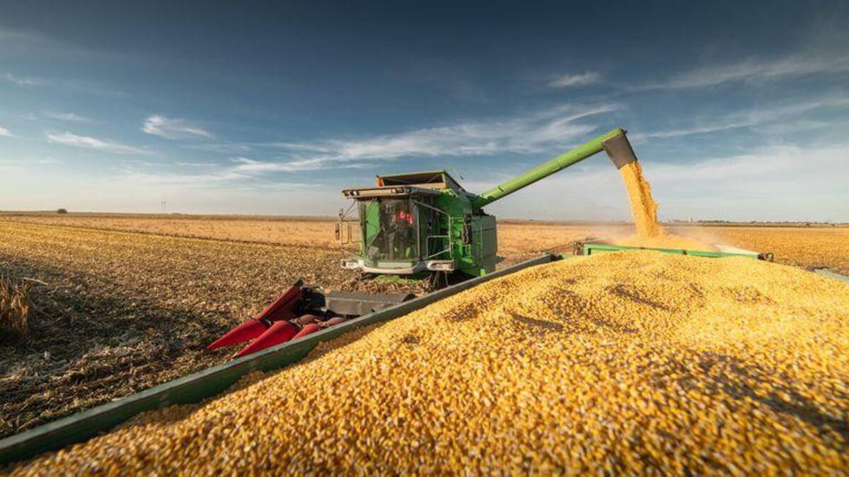 Récord histórico: Argentina consiguió US$7.448 millones en exportaciones durante diciembre 2025