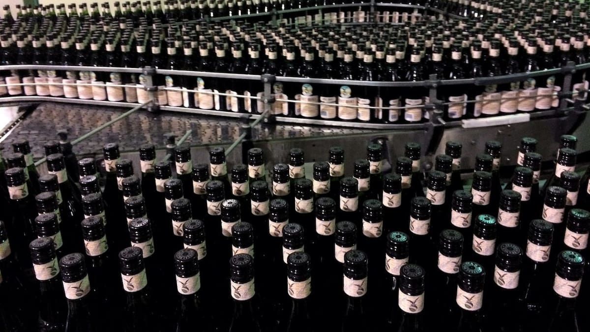 Botellas de fernet vacías, ideales para decorar. Foto: Fernet Branca
