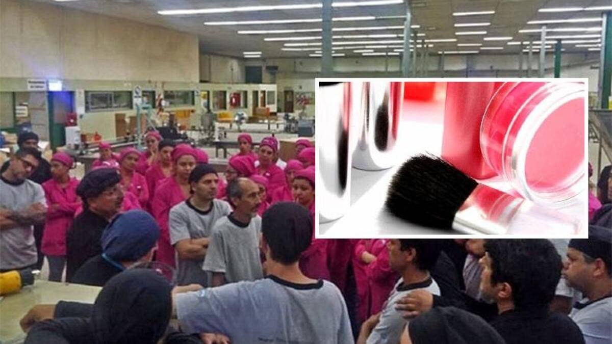 Fábrica de productos cosméticos Tsu cerró su planta de Villa Lynch