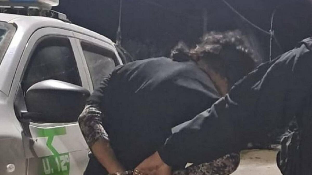 Facundo Jones Huala, Mapuches, detención, NA