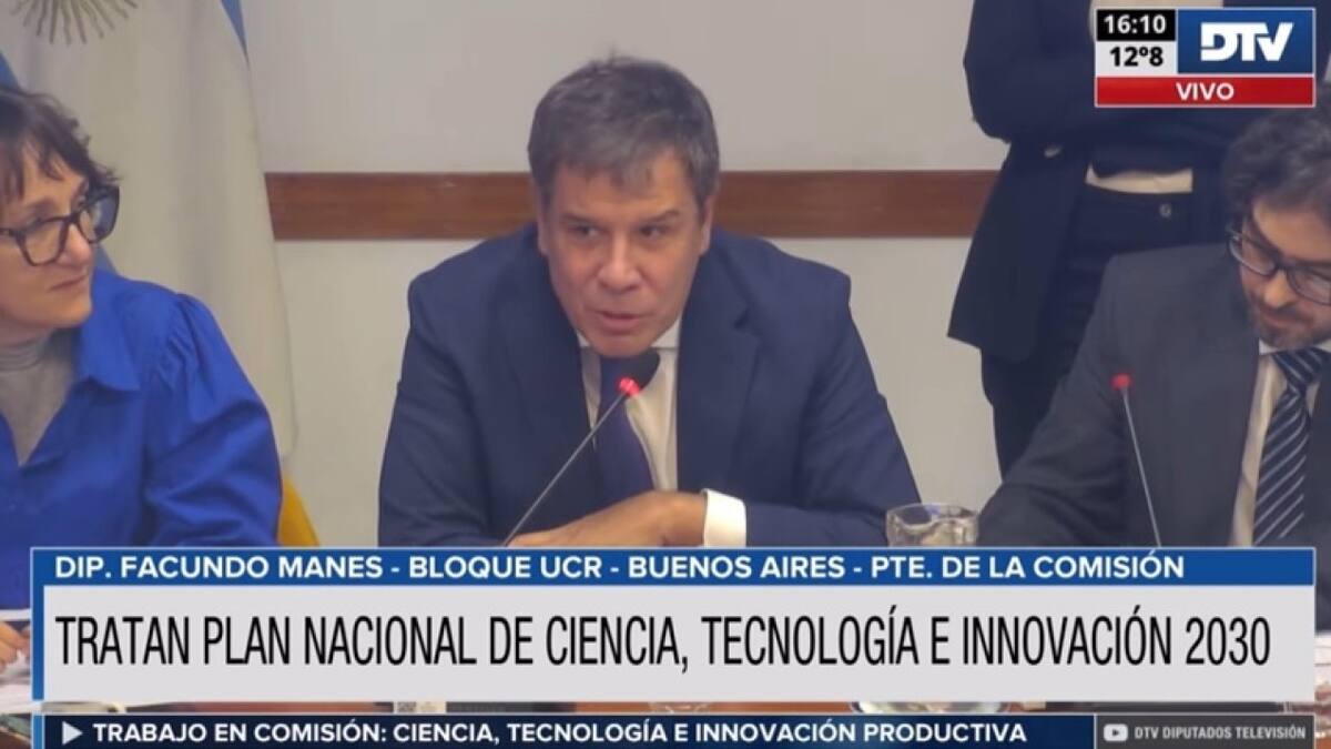 Facundo Manes en la Comisión de Ciencia, Tecnología e Innovación. Foto: Captura de video.