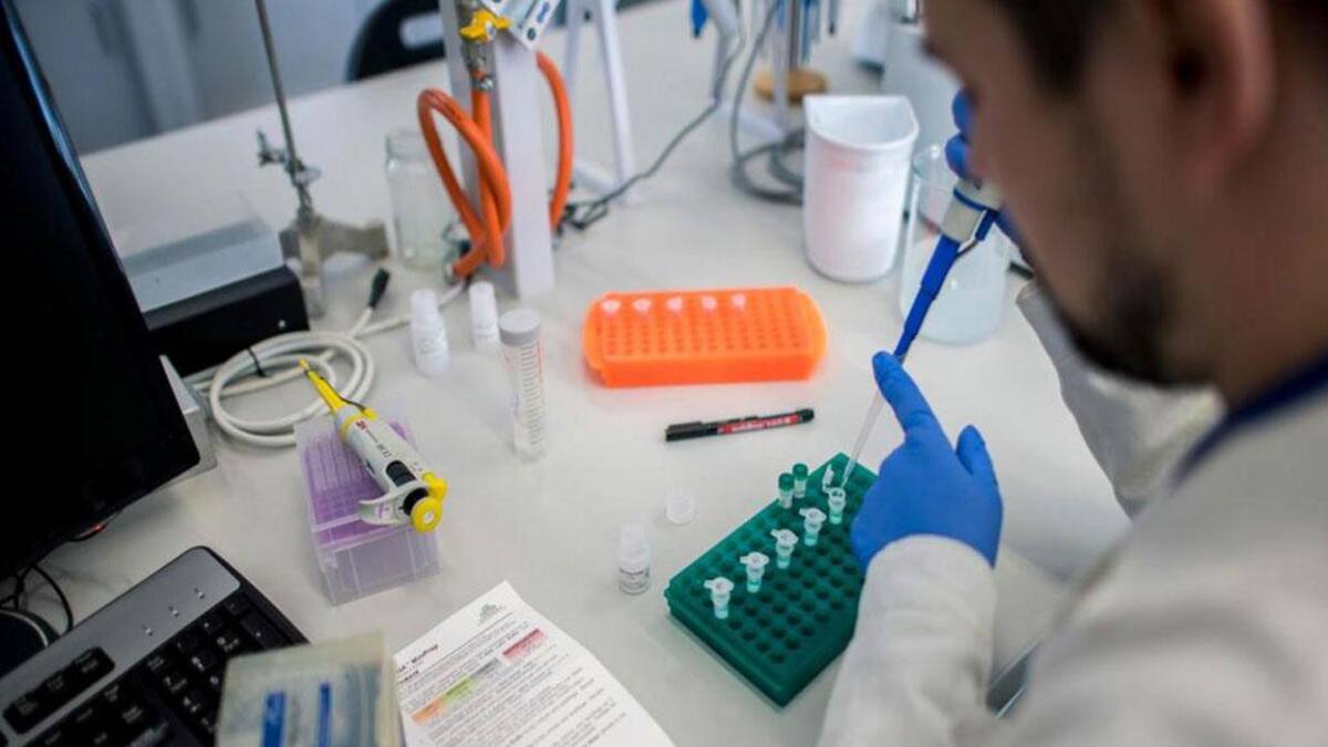 Fármacos, investigación, salud