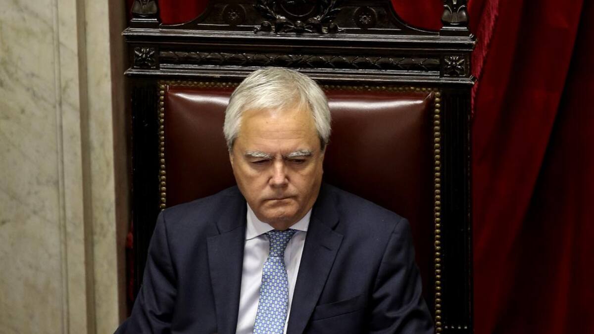 Federico Pinedo - Senado (NA)