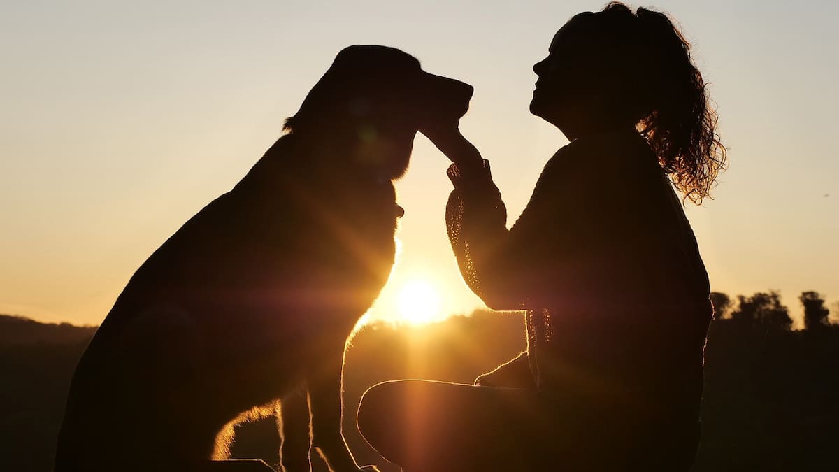 Milán autoriza que las cenizas de las mascotas sean enterradas junto a sus dueños. Foto: Pexels.