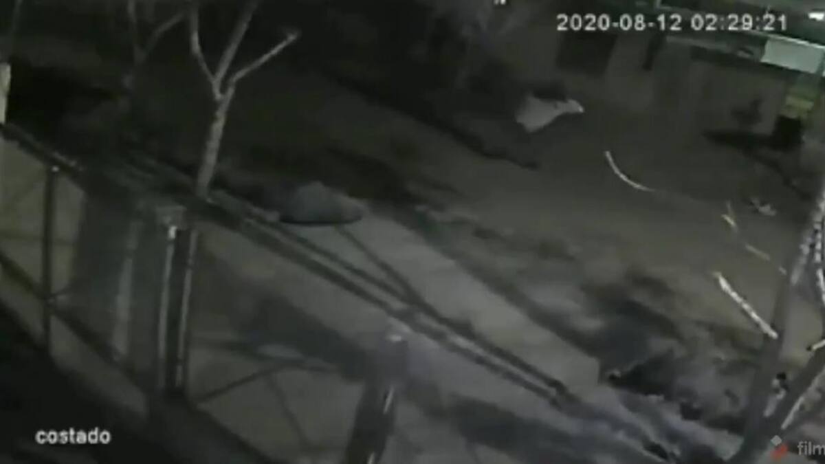 Femicidio en Guernica, cámara de seguridad