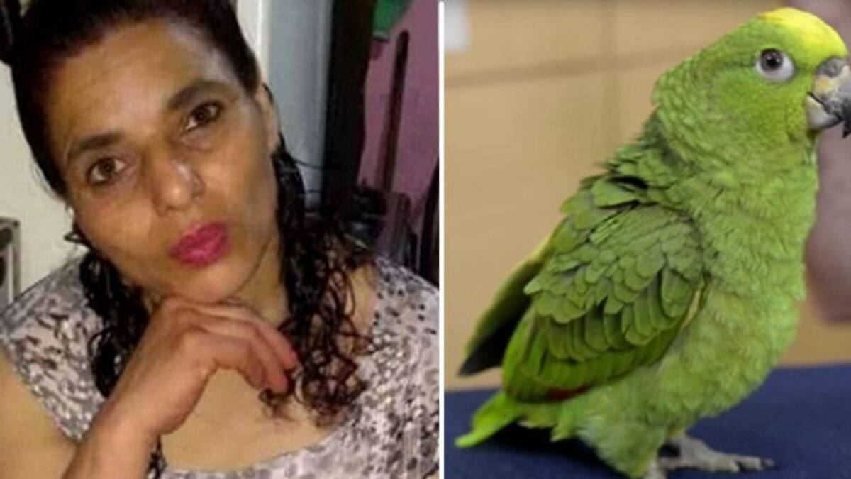 Femicidio en San Fernando