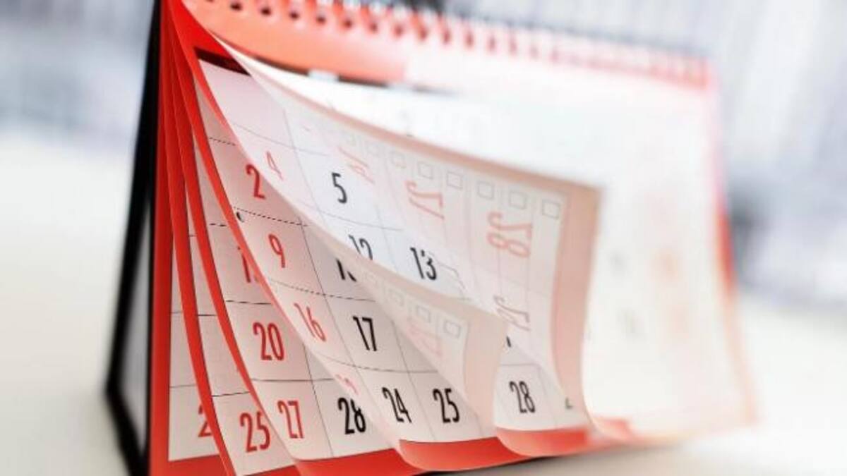 ¿Es feriado el lunes 18 de noviembre?