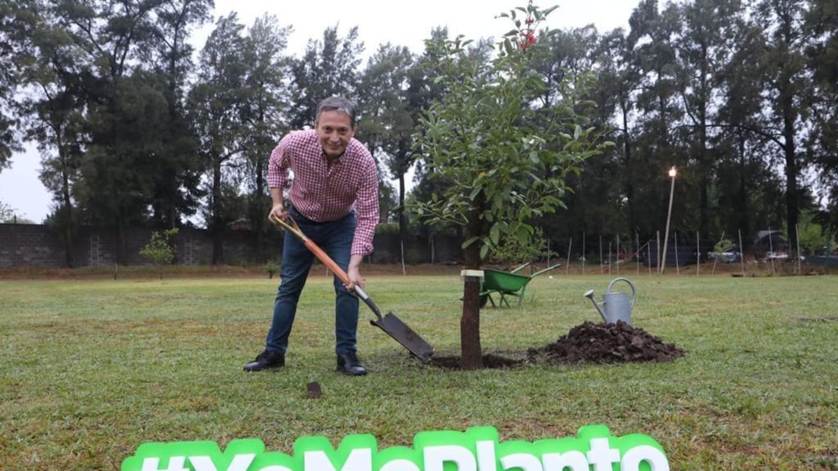 Fernando Gray lanzó un Programa de Forestación de Plantas Nativas, #YoMePlanto