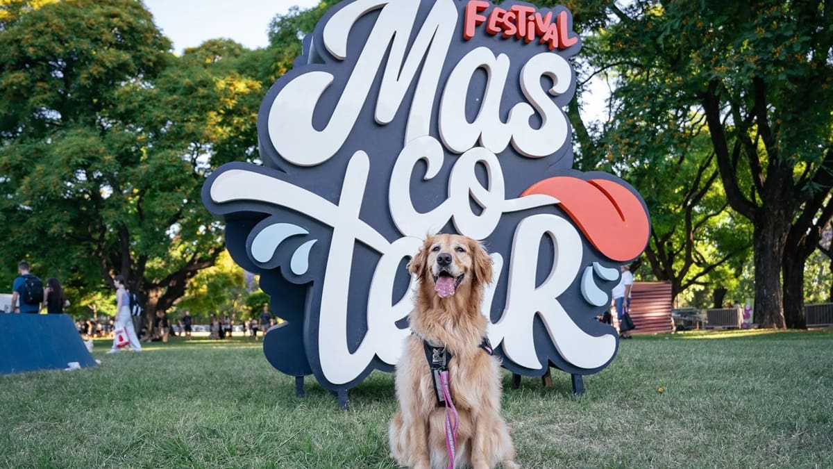 Llega el Festival Mascotear 2026 para los amantes de los perros y gatos: cuándo y dónde se celebrará el evento con mucho amor animal