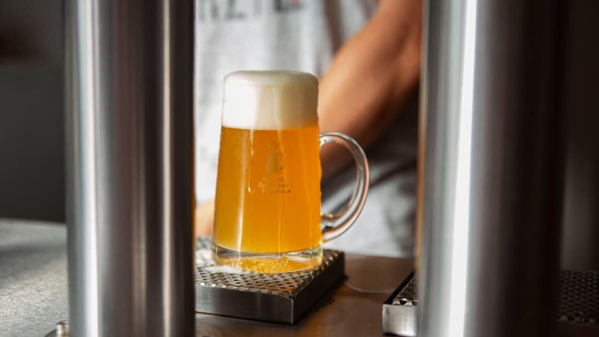 Fiesta de la Birra en Buenos Aires: cómo llegar en tren o colectivo para disfrutar de la mejor cerveza artesanal y shows en vivo