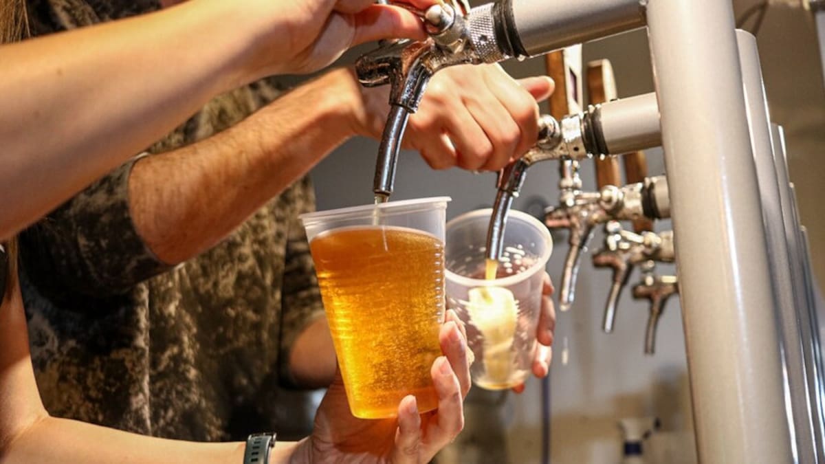 Llega el Festival de la Cerveza Capital con entrada gratis.