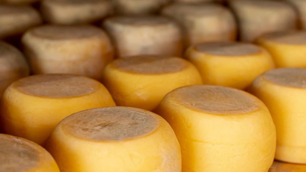 Confirman las fechas de la Fiesta del Queso Tandilero: entrada gratis, más de 50 variedades y shows en vivo