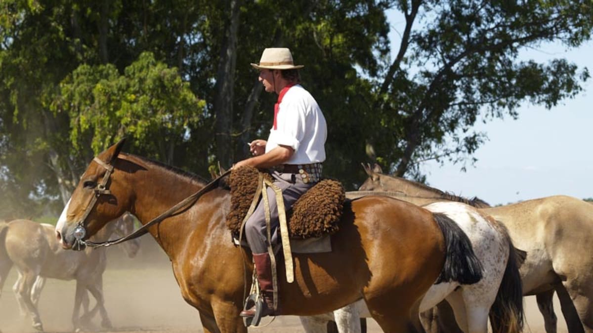 La Fiesta Grande de Acuyai vuelve a Buenos Aires con jineteadas, peñas y tradición gaucha: cuándo y dónde se celebra