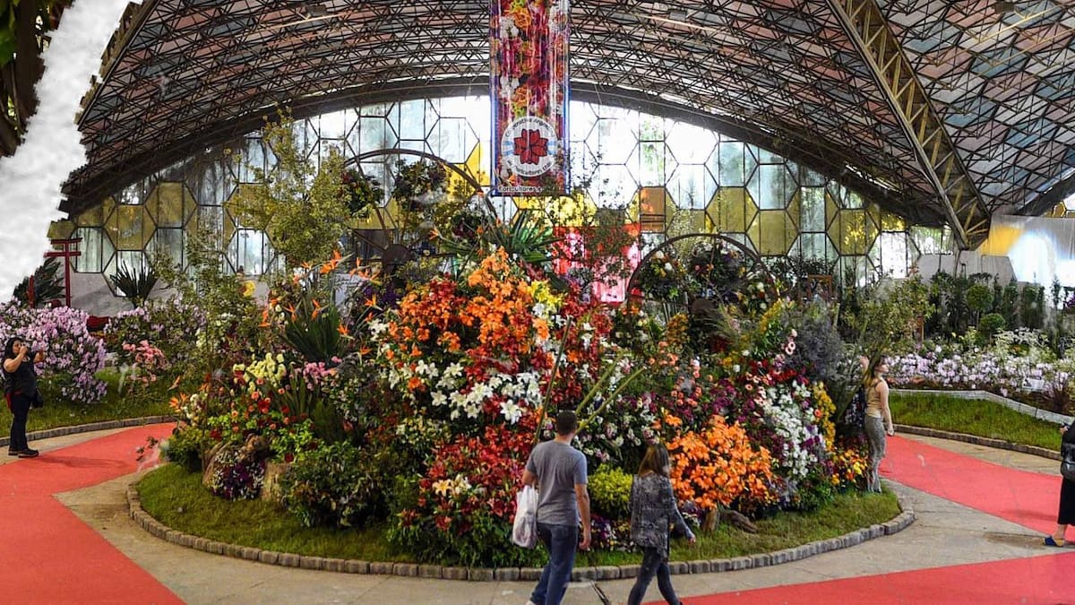 Escobar florece otra vez: cuándo es la nueva edición de la Fiesta Nacional de la Flor