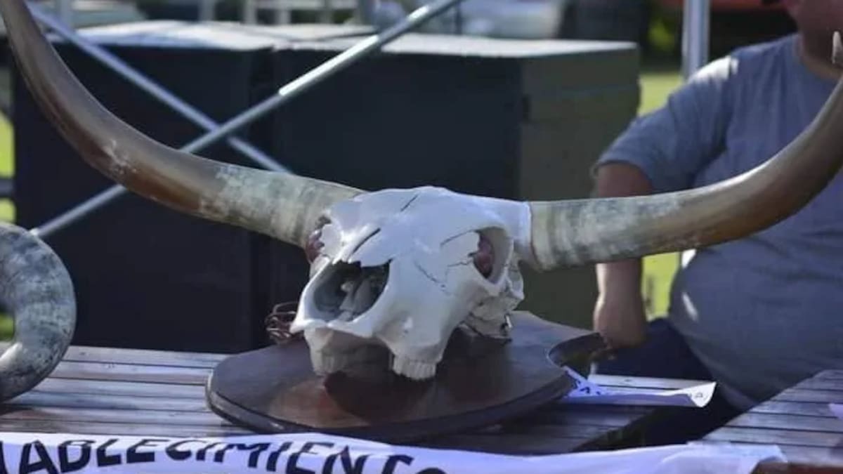 Fiesta Provincial de la Guampa 2026: cuándo será el particular evento que celebra la tradición rural y reparte premios