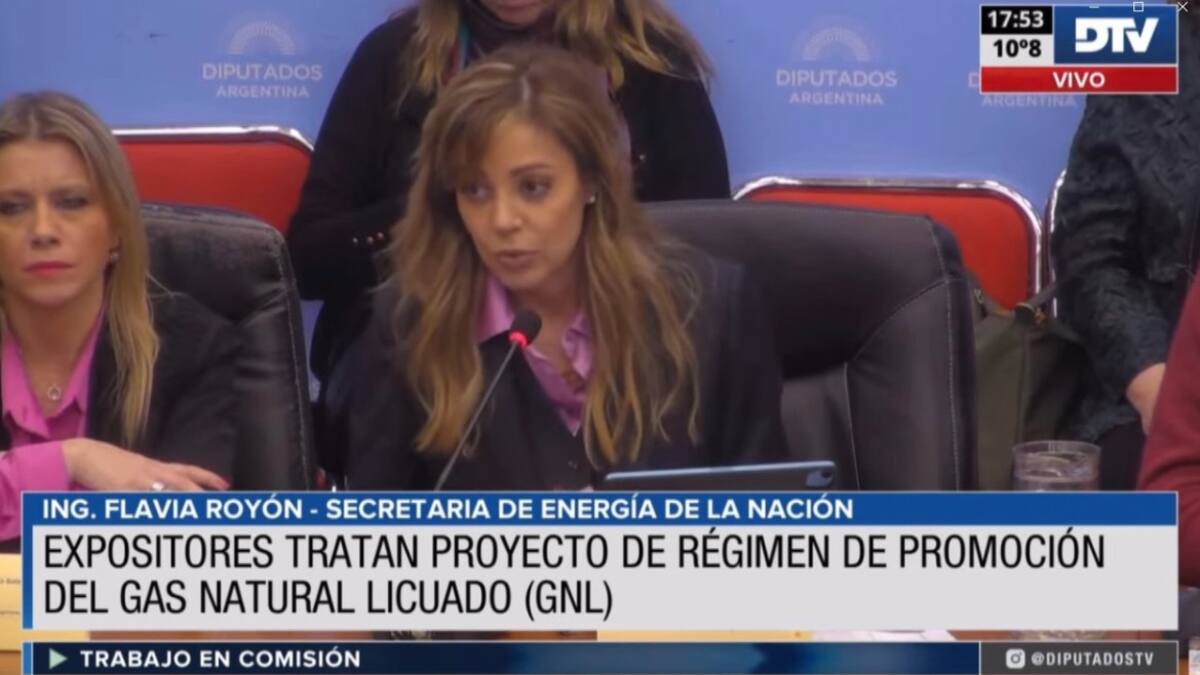 Flavia Royón, proyecto de Gas Natural Licuado. Foto: DTV.