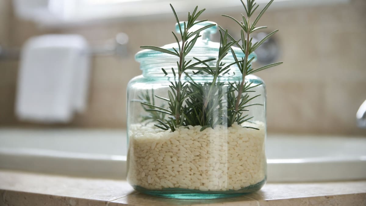 Si tenés frascos de vidrio vacíos hoy, no los tires: 5 ideas para aprovecharlos en el jardín