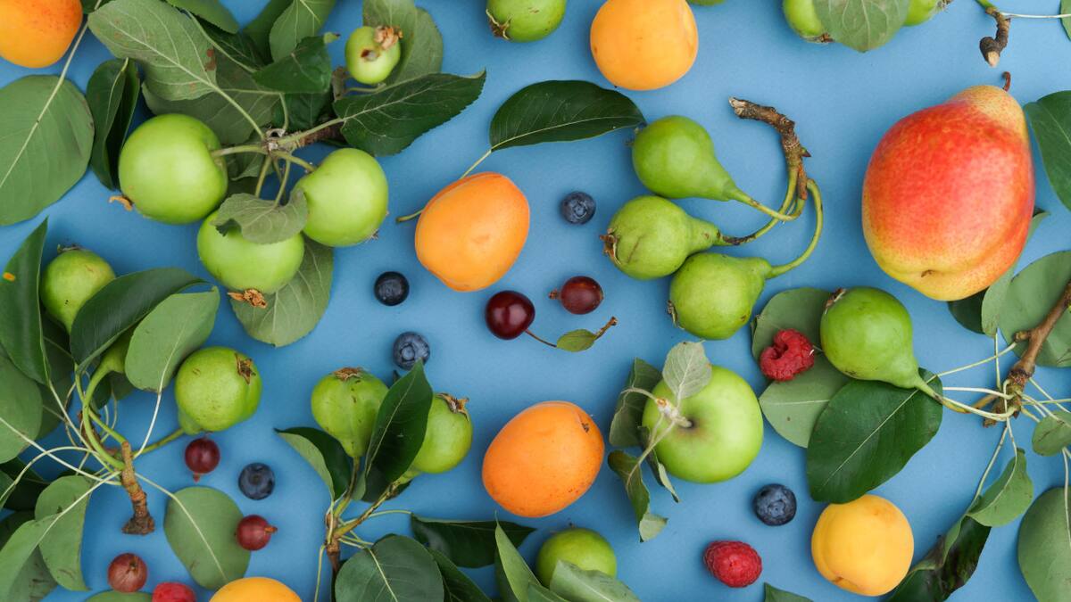 Frutas con vitamina C. Foto: Unsplash