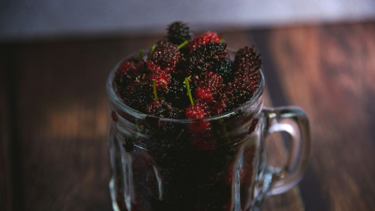 Frutas; mora. Foto: Unsplash.