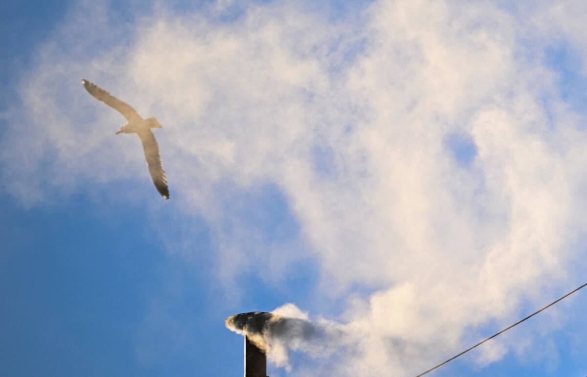 Fumata blanca en el Vaticano. Foto: Reuters/Dylan Martinez