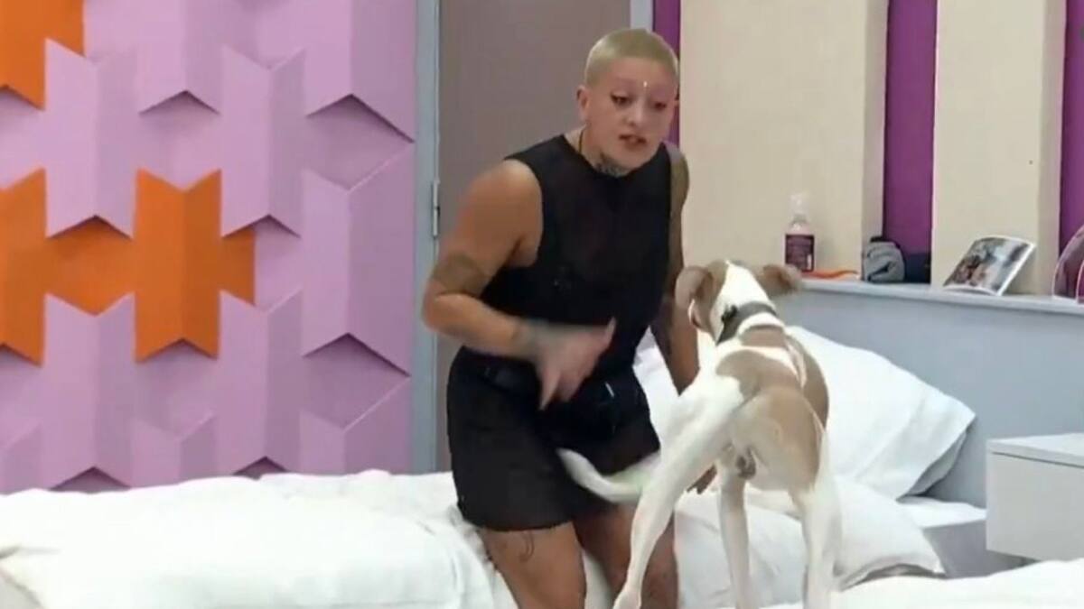 Furia y Arturo, Gran Hermano. Foto: captura