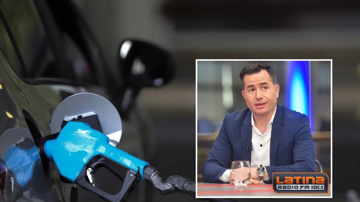 Gabriel Bornonroni, FECAC, Combustibles, naftas