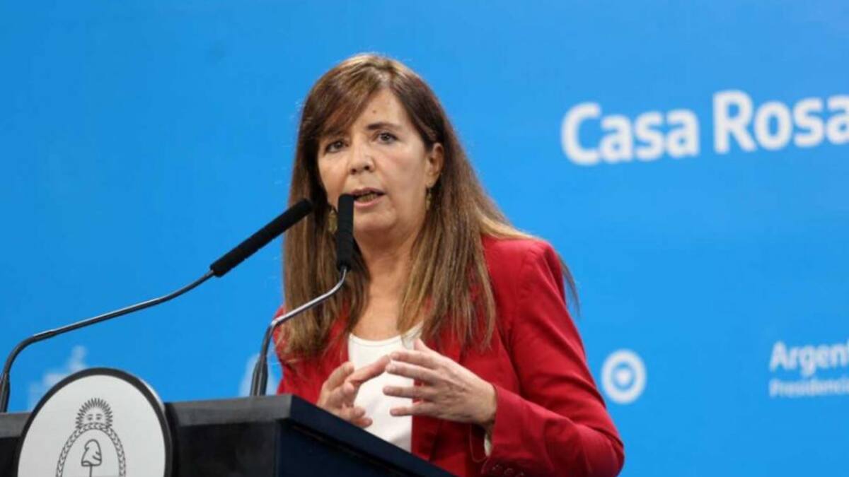 Gabriela Cerruti, Gobierno, NA