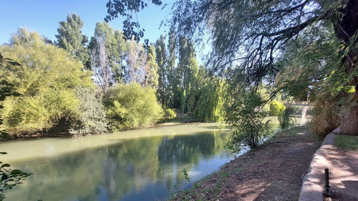 Gaiman, Chubut. Foto/X: @diegotavella6