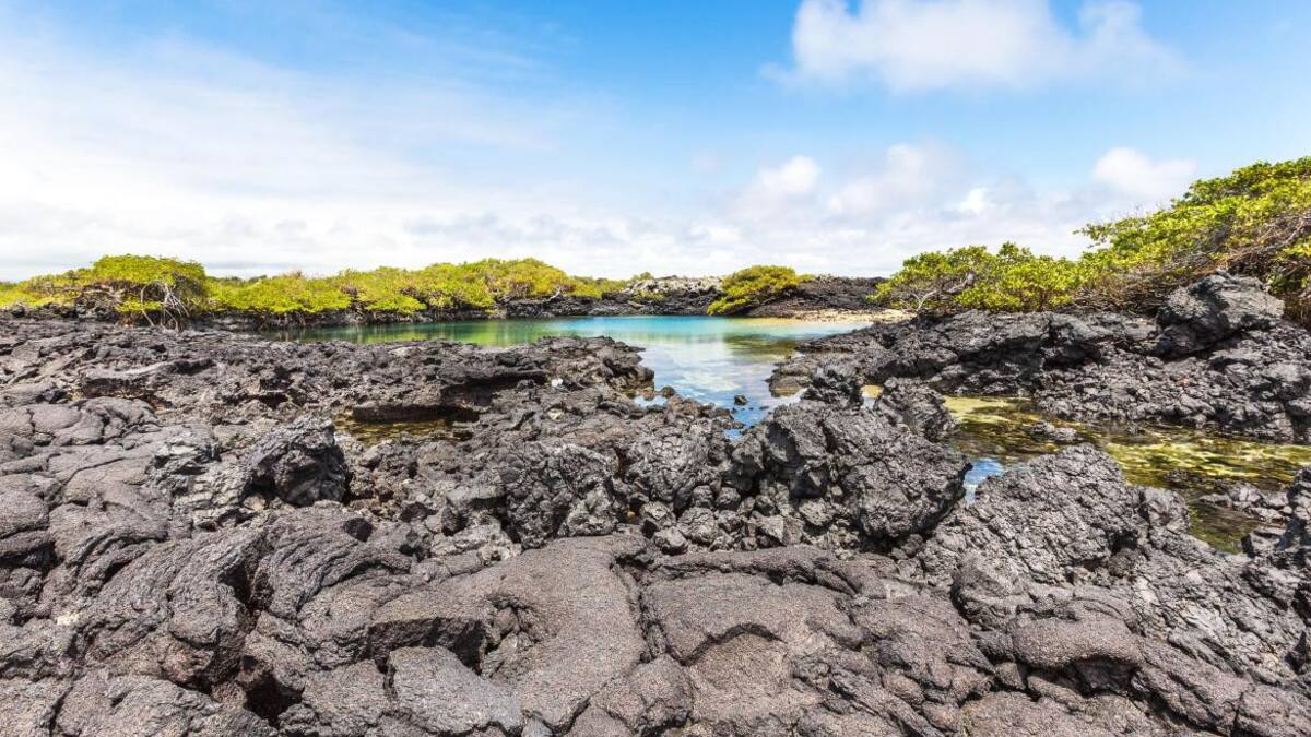 Galápagos fue declarado Patrimonio Natural de la Humanidad el 8 de septiembre de 1978 por el Comité de Patrimonios de la Unesco. Foto Alamy