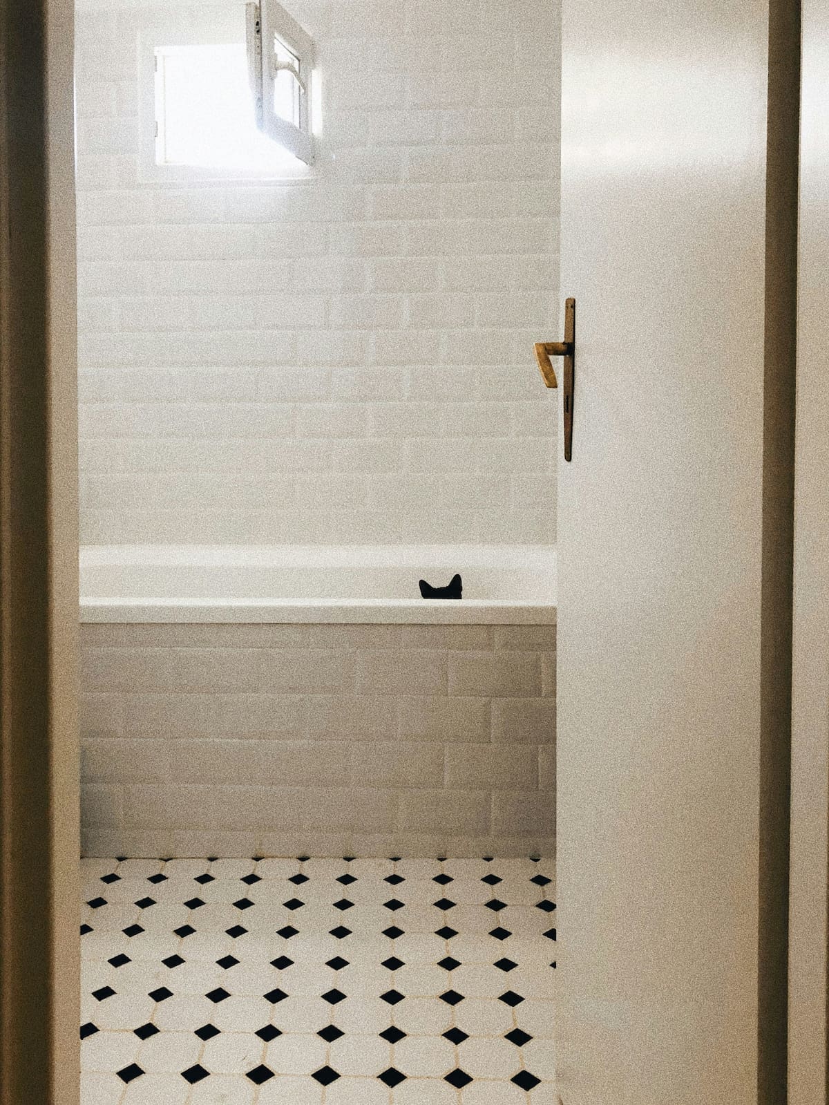 Gatos, baño, mascotas. Foto Unsplash