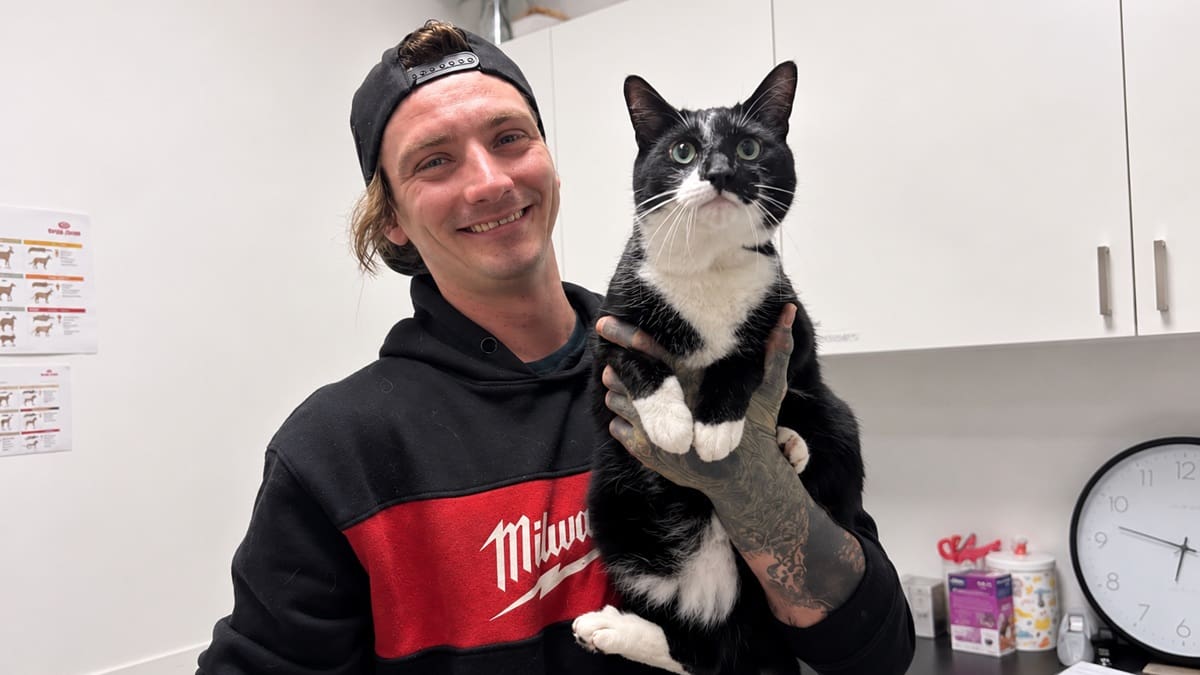 En Australia, una organización protectora de animales le brindó ayuda para cuidar a Tyrian mientras intentaba reconstruir su vida. Con el tiempo, consiguió trabajo, retomó el contacto con su familia y recuperó la estabilidad que tanto necesitaba.