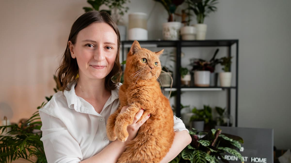 Gatos naranjas: la explicación científica del color que los volvió famosos.