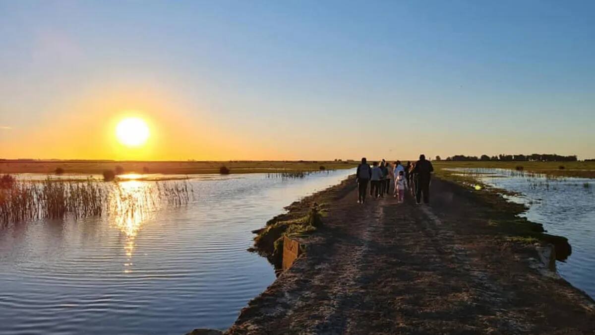 Llega la primera Feria de Pavón: el evento cerca de la Costa Atlántica con delicias regionales, ideal para ir con toda la familia