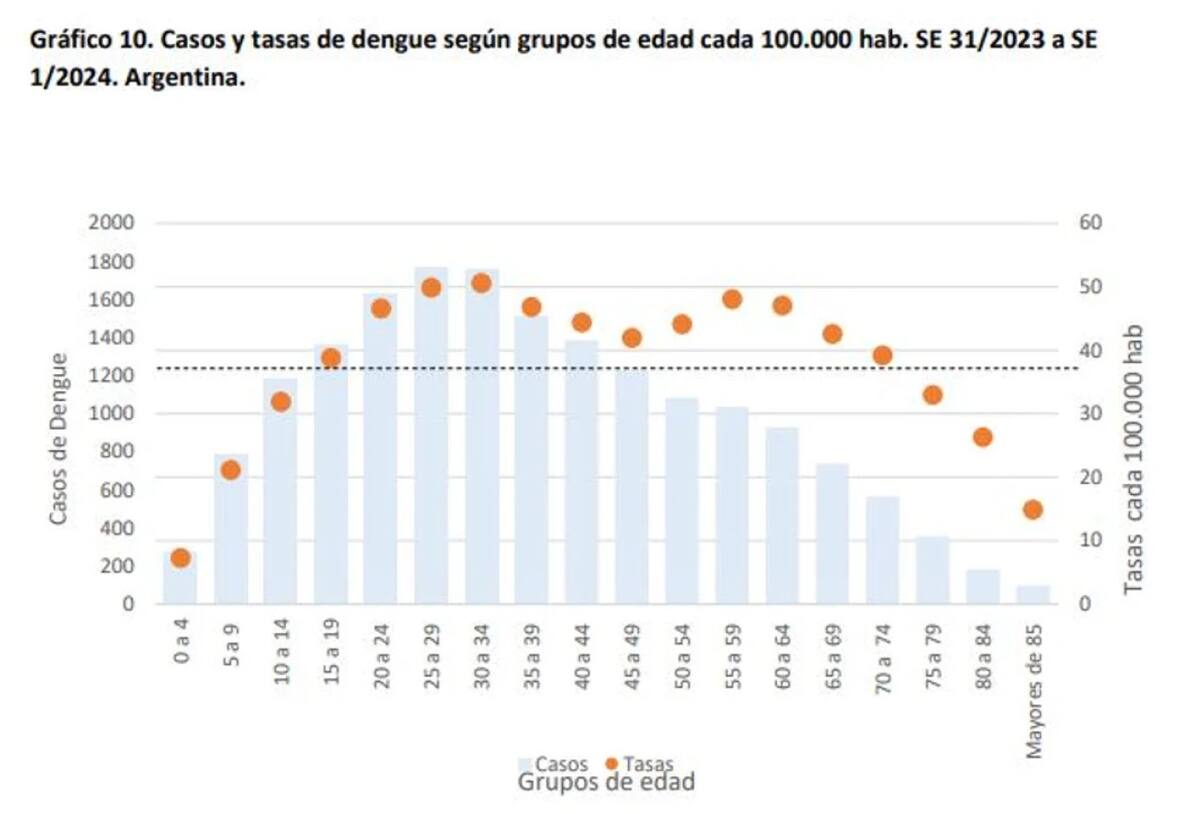 Gráfico sobre casos de dengue. Foto: NA.