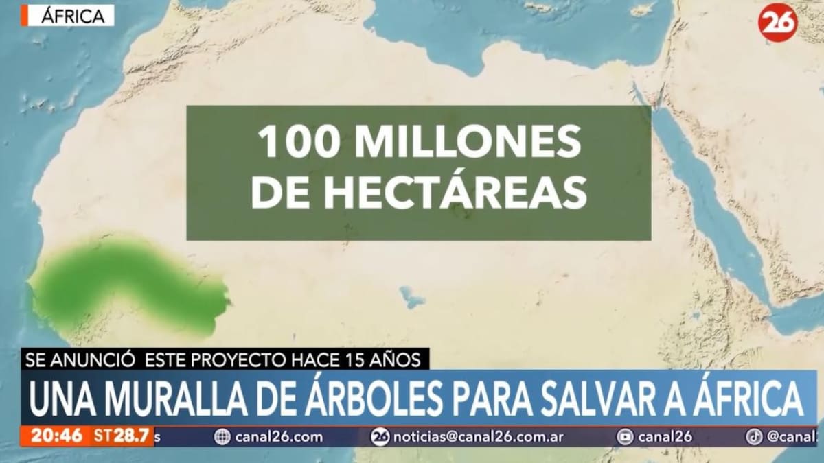 Gran Muralla Verde en África - Canal 26