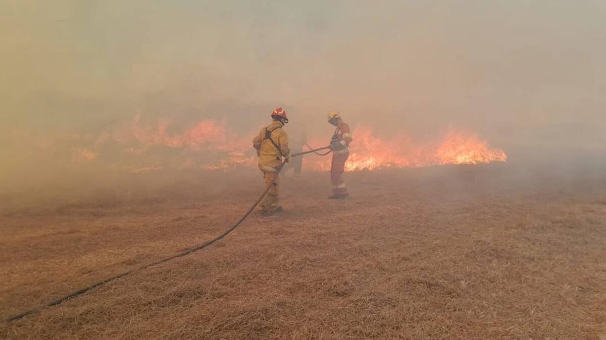 Debido a los focos de incendios en Brasil, parte de la población sufre de enfermedades respiratorias. Foto: NA.