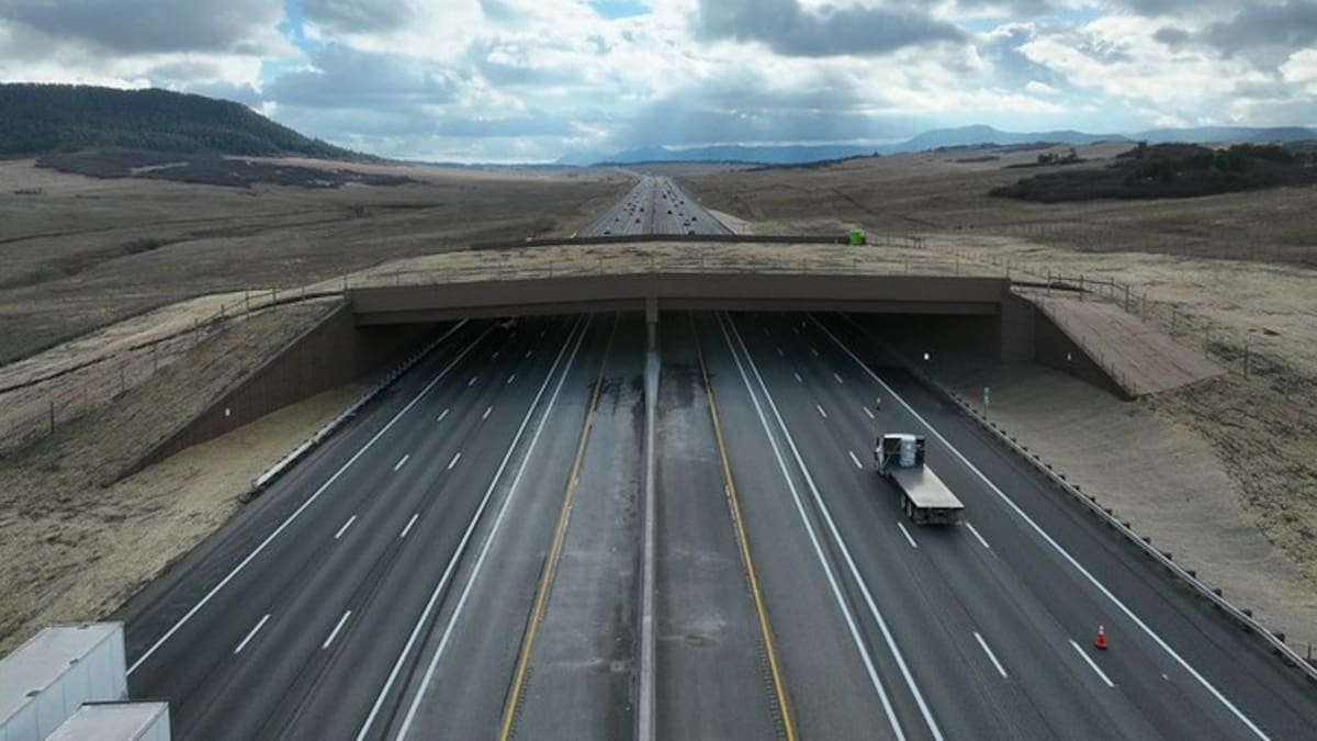 Greenland Wildlife Overpass, Colorado, Estados Unidos.