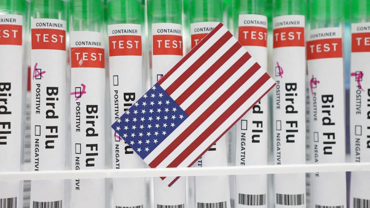 Gripe aviar en Estados Unidos. Foto: Reuters.