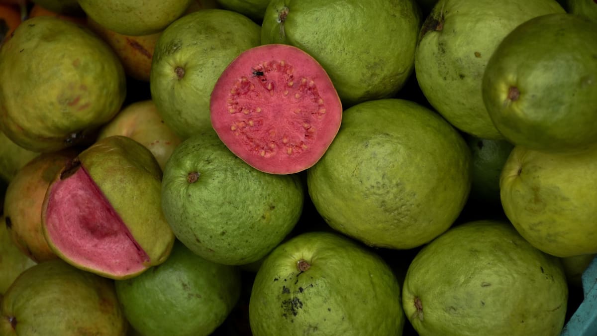 Guayaba, fruta, vitamina C. Foto: Unsplash