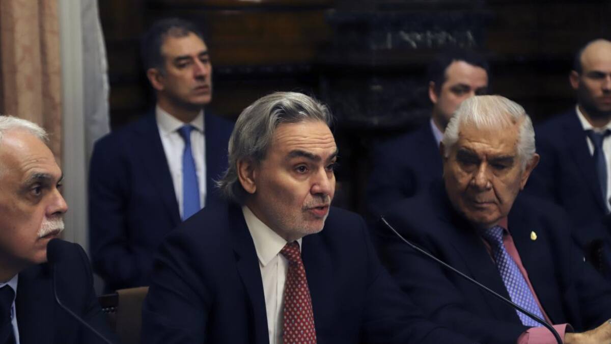 Gustavo Lopetegui en el Senado por el apagón (Agencia NA)