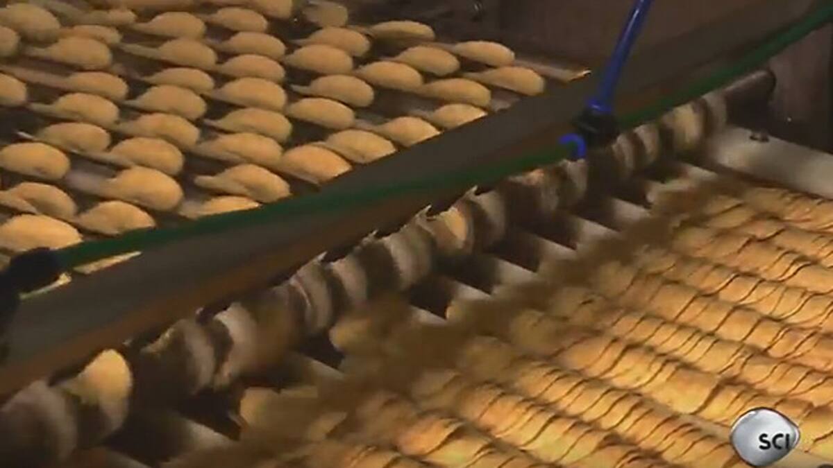 Haciendo papas fritas Pringles