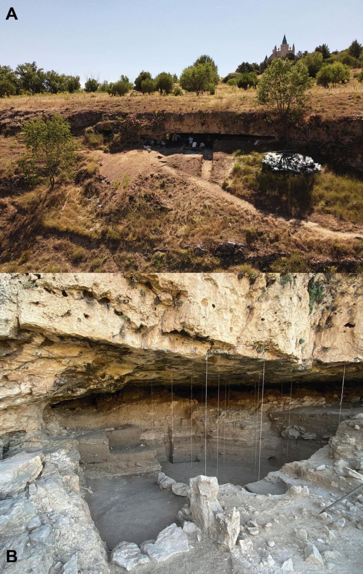Hallaron la huella dactilar de un neandertal, la más antigua del mundo, de hace 43.000 años. Foto: EFE.