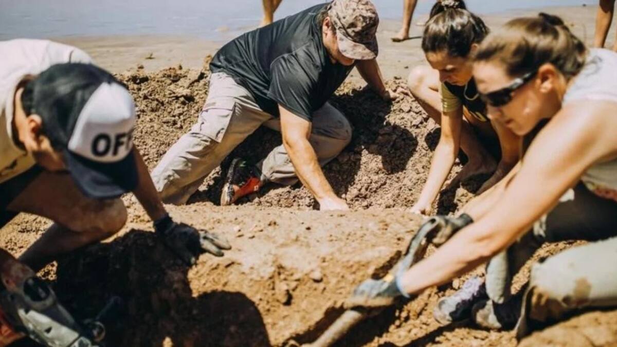 Hallazgo arqueológico en las playas de Chapadmalal.