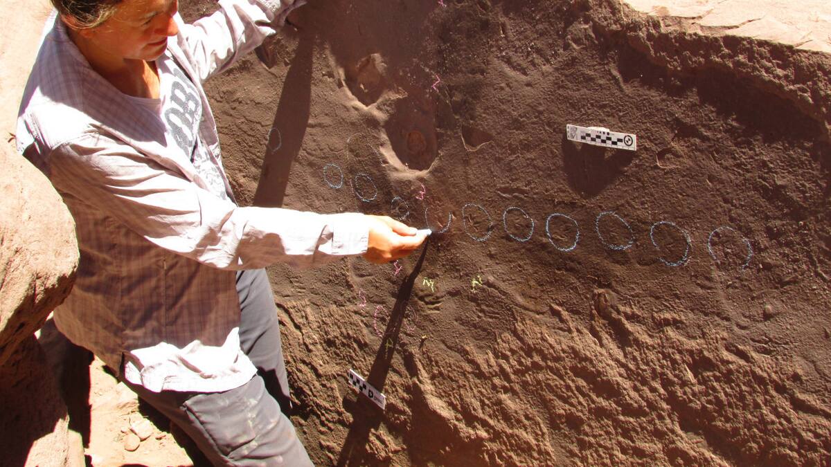 Hallazgos en La Rioja. Foto: Télam
