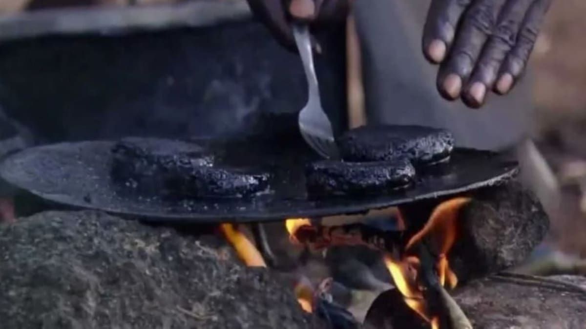 Hamburguesas de mosquitos: el "exótico" método culinario usado en África para hacerle frente a los insectos