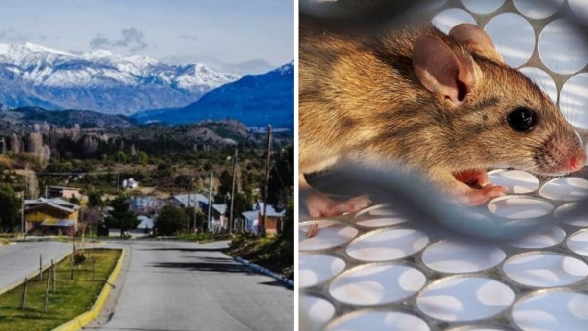 Hantavirus - Epuyén