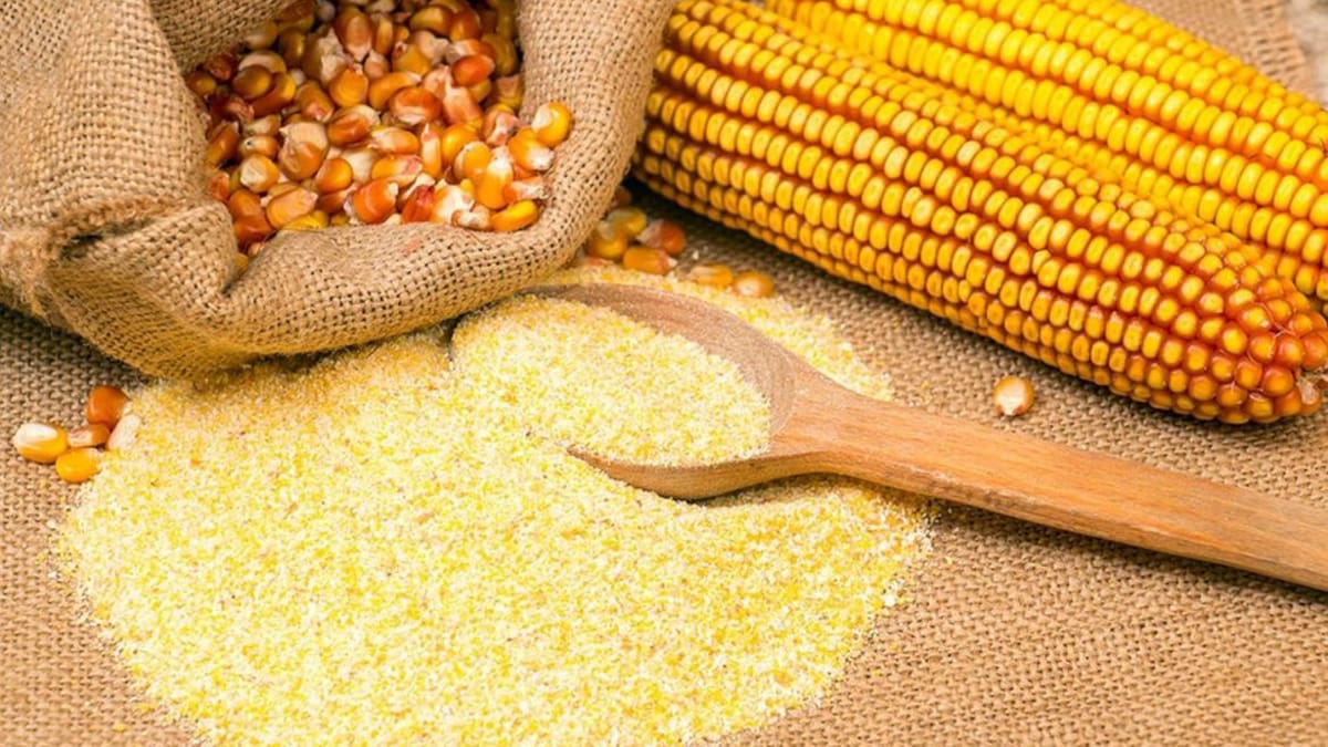 Harina de maíz, Anmat
