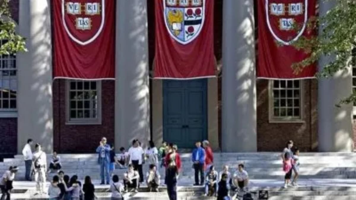 Harvard. Fuente: X
