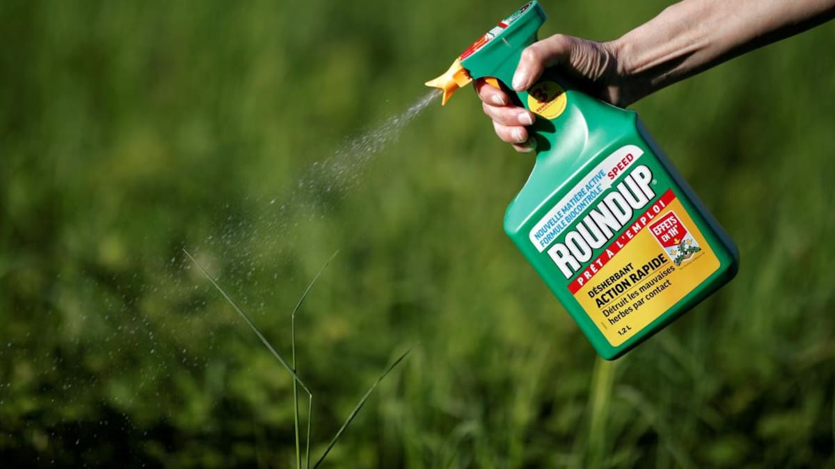 Herbicida Roundup, agroquímico Monsanto, REUTERS